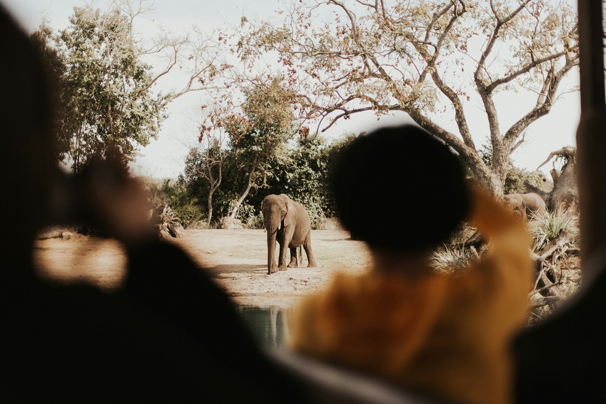Safari travel testimonial